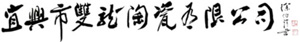 阿爾賽合作伙伴-宜興雙龍